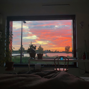 美国黑人妓女操逼
